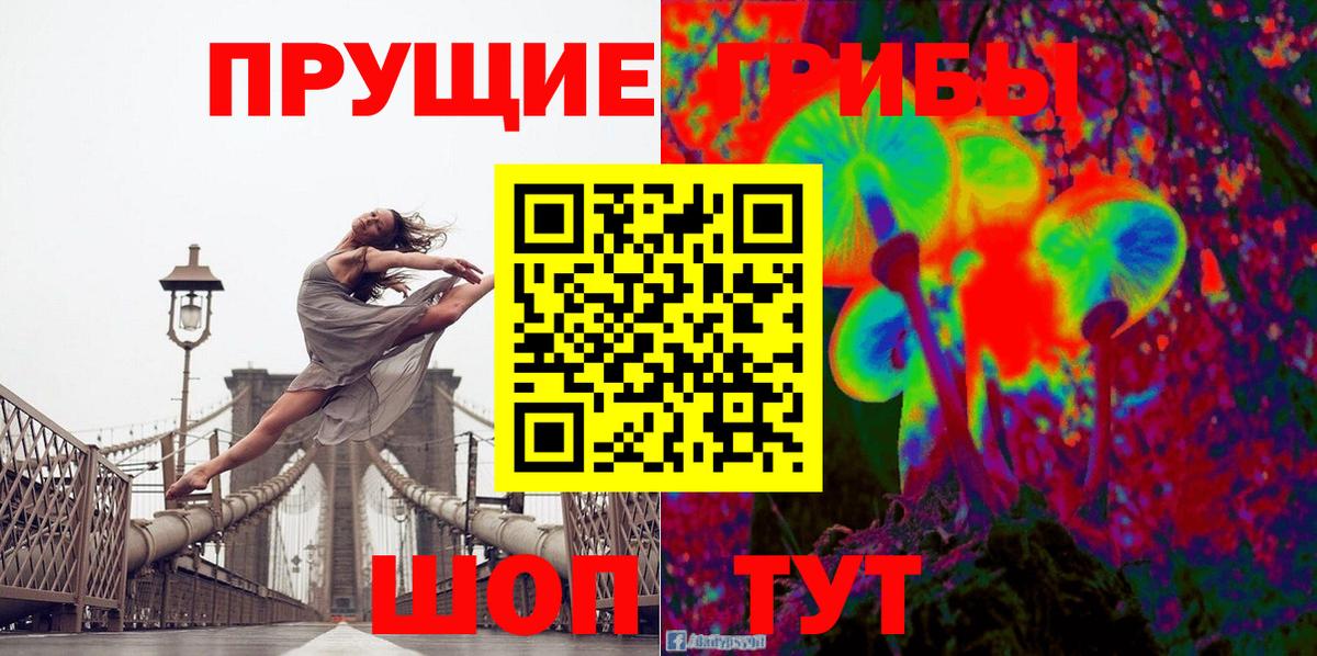Псилоцибиновые грибы GOLDEN TEACHER  Галлюциногенные грибы мухоморы  Вход с VPN  Северобайкальск 